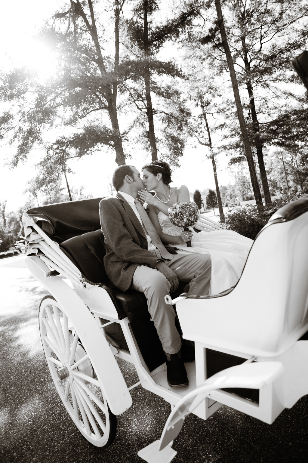 a bride and groom kiss under the trees in the back of a horse drawn carriage