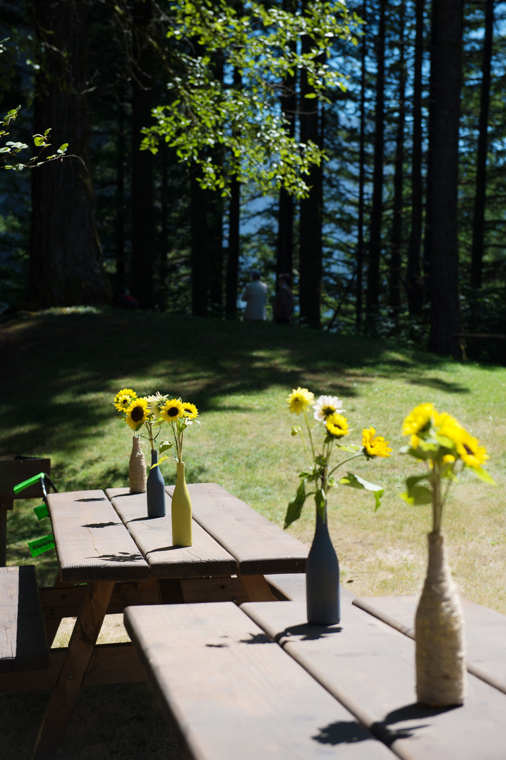 sunflowers in painted wine bottles line picnic tables