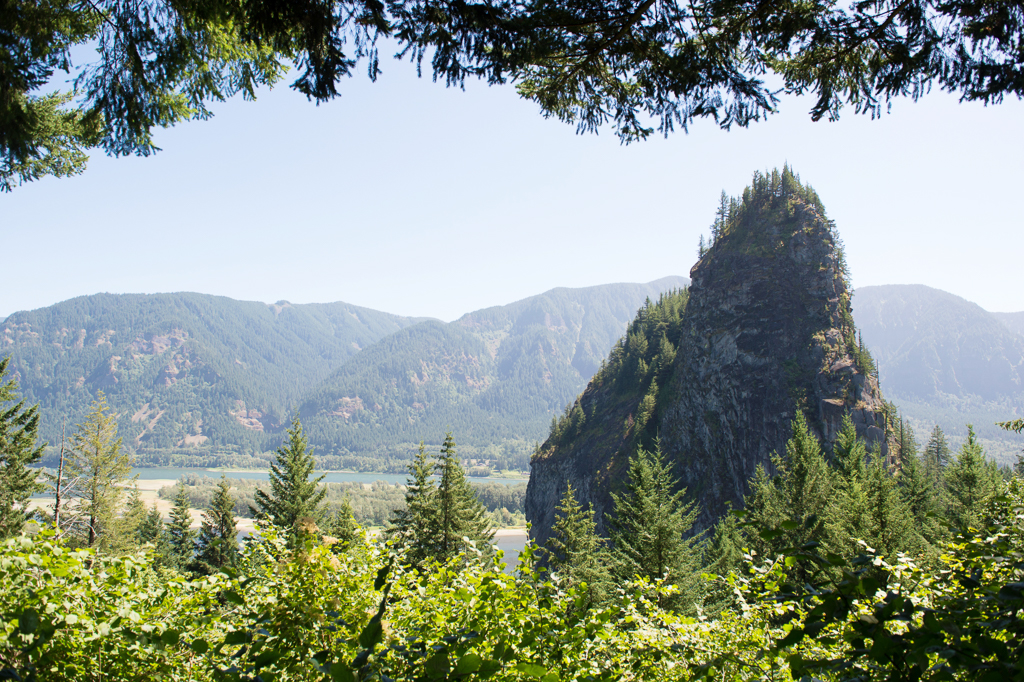 beacon rock and the columbia river gorge seen through the trees