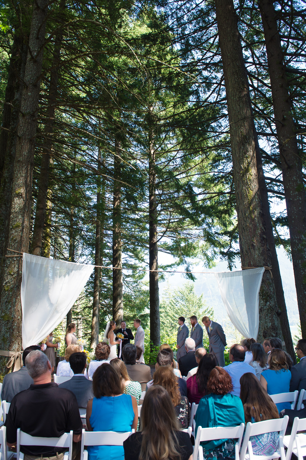 a wedding ceremony under tall trees with two sheer white curtains as the backdrop