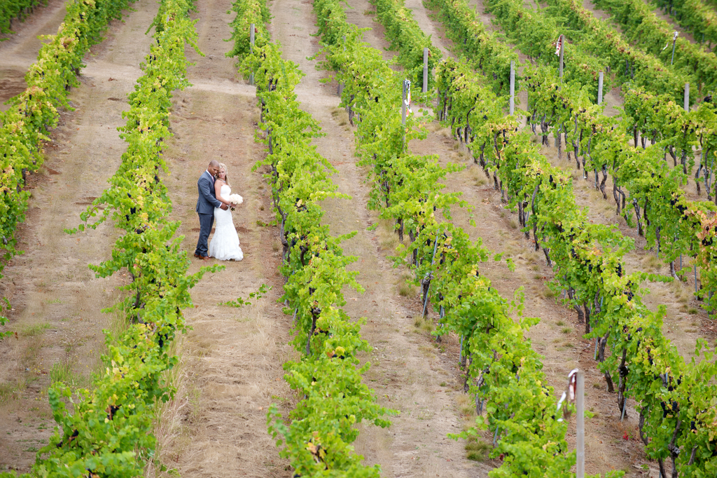 rows of grapevines at Beckenridge vineyard surround a couple in the distance
