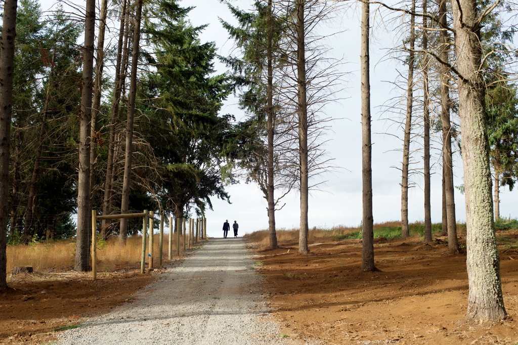 two guests appear over the horizon as they walk down a long gravel road between tall trees to the wedding reception