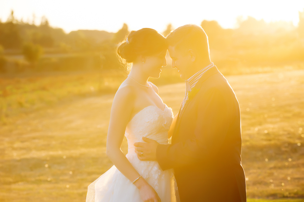 bride and groom bathed in golden light at sunset