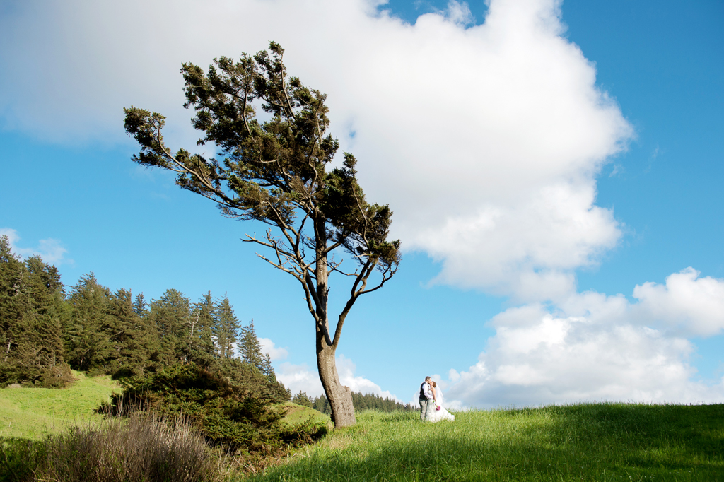 bride and groom under ocean swept tree at ecola state park