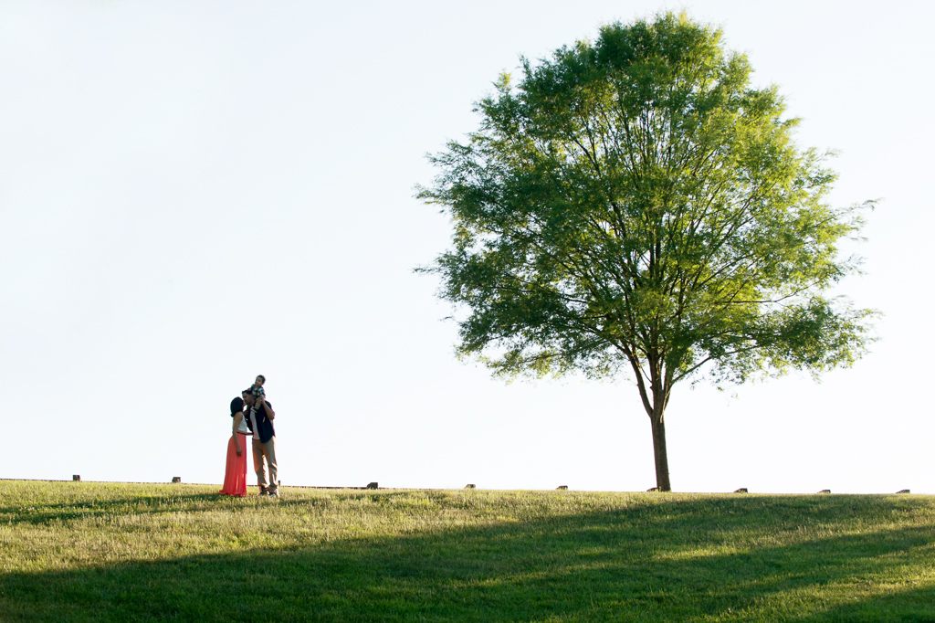 a mom and dad kiss while baby boy on dad's shoulder on horizon under a large lonely tree