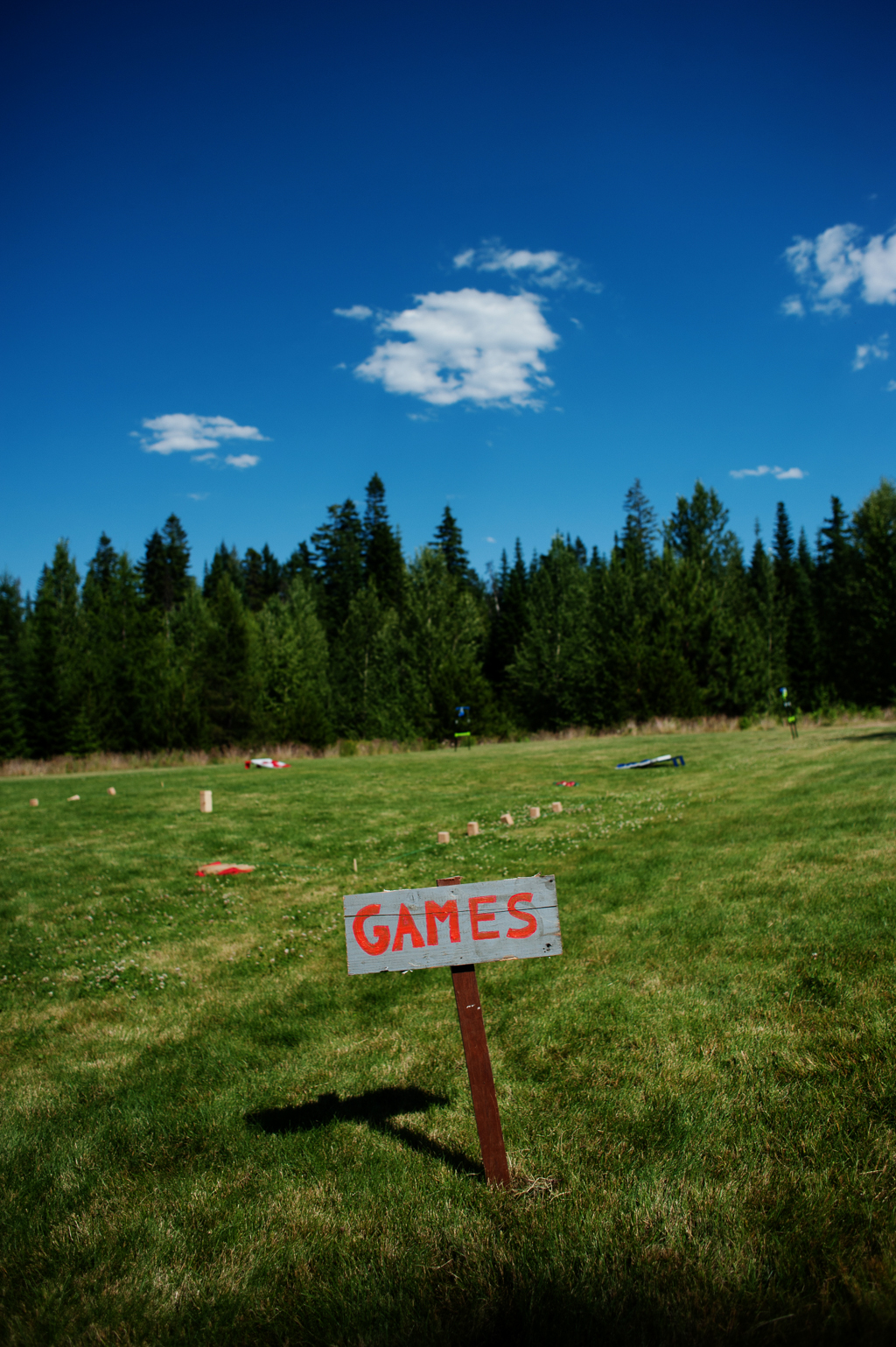 a cute sign that says games in the lawn