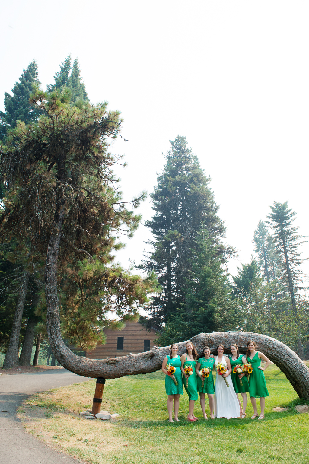 a bride with her bridesmaids in green dresses stand in front of a crooked tree