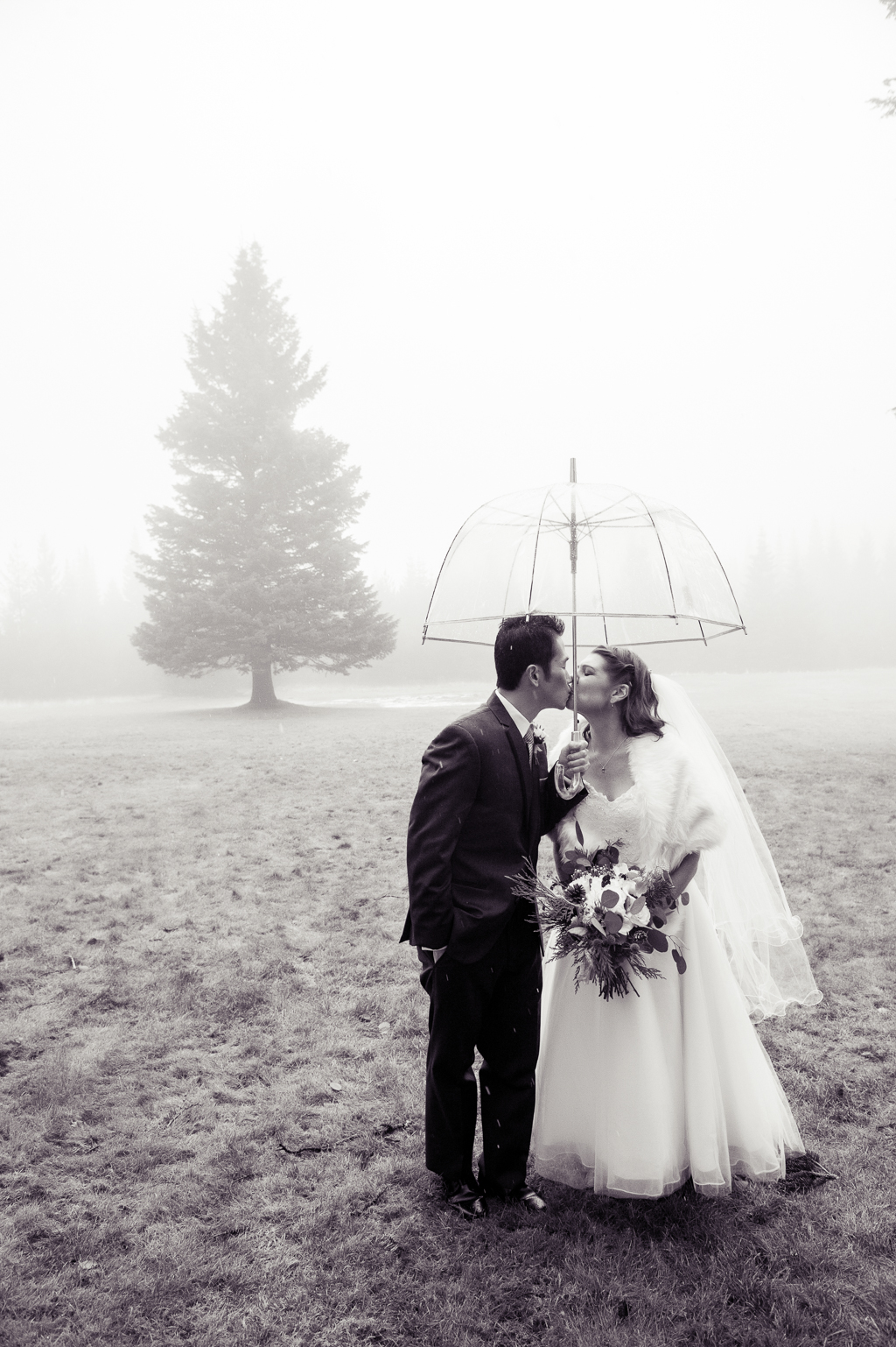 bride and groom kiss under a clear umbrella in a foggy field with a giant tree in the background