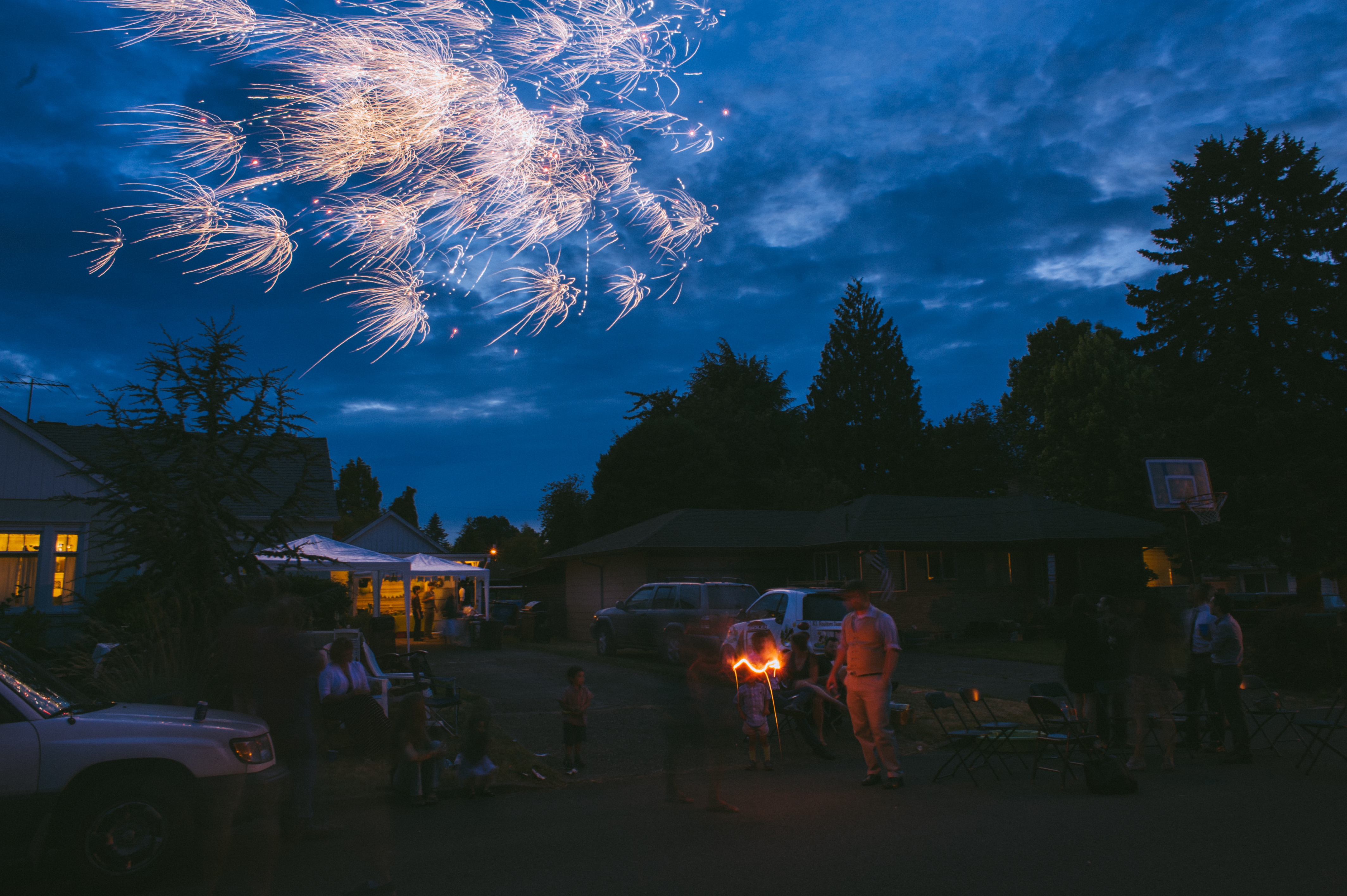 wedding guests sit in the yard while fireworks go off in the sky