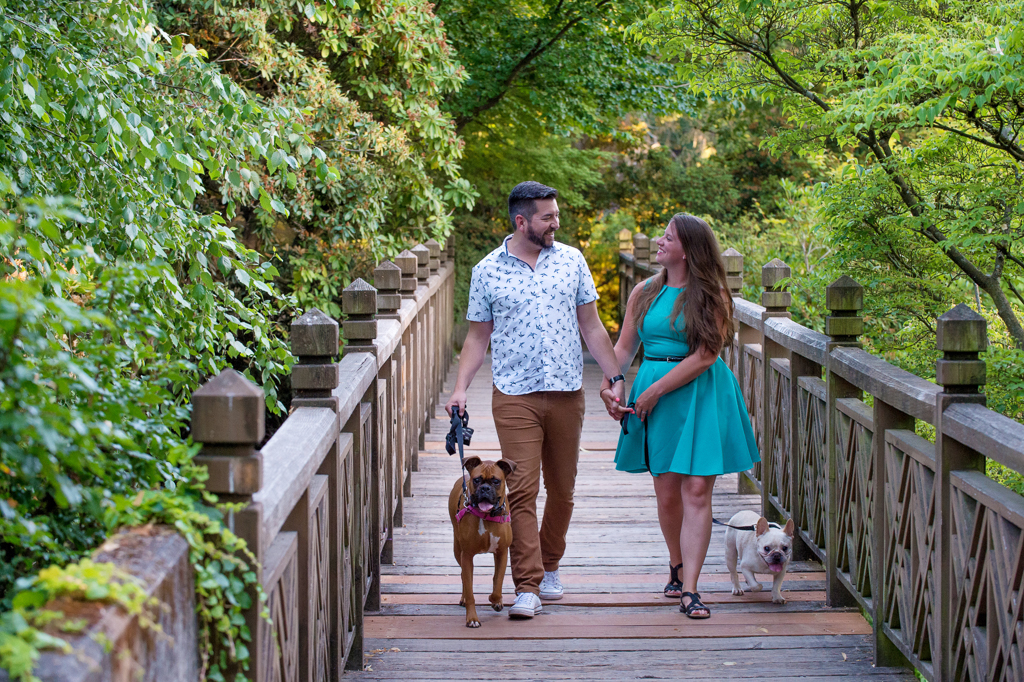a couple walk their two dogs over a wooden bridge