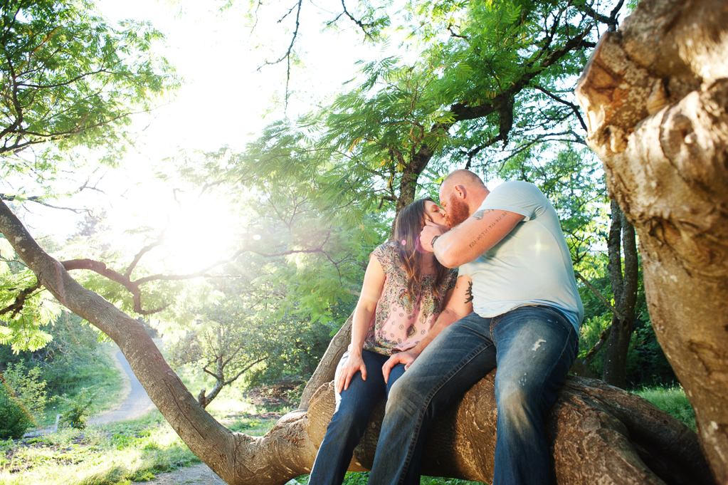 a man and woman kiss in a tree as the sun shines through