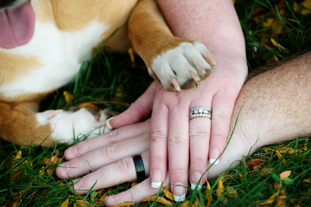 a man and woman lay their hands in the grass to show their wedding rings and their dog lays her hand on top