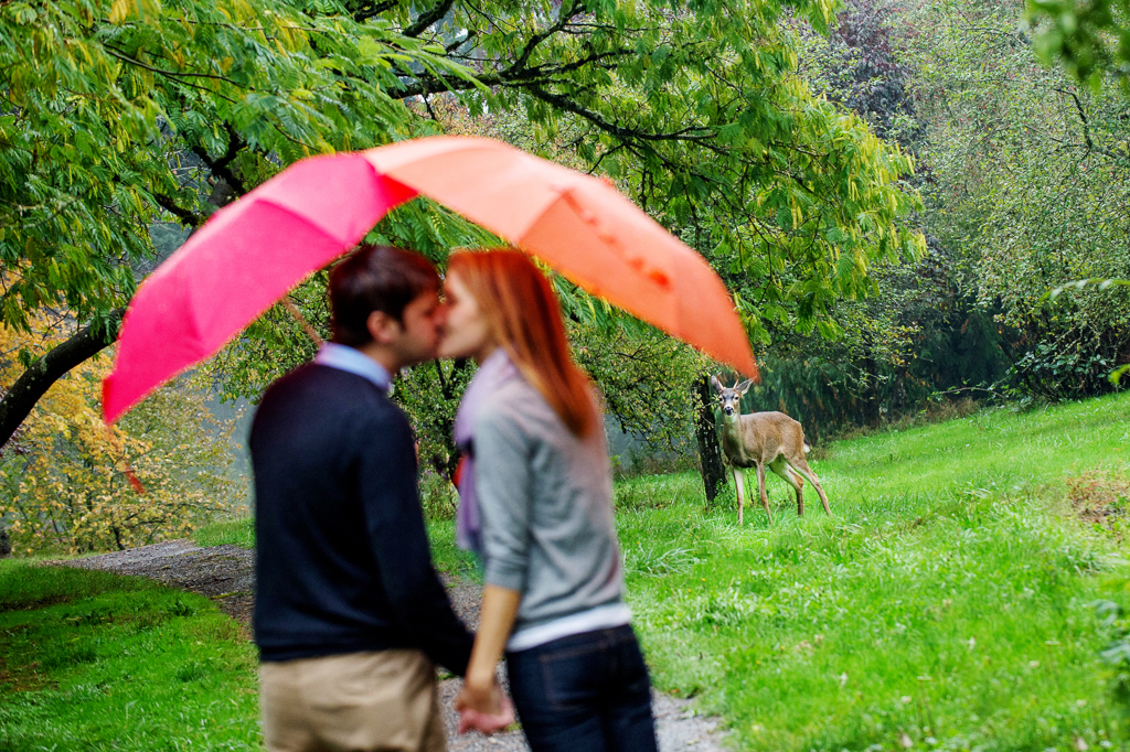 a girl with an orange umbrella kisses a man with a red umbrella under the trees at hoyt arboretum while a deer looks on