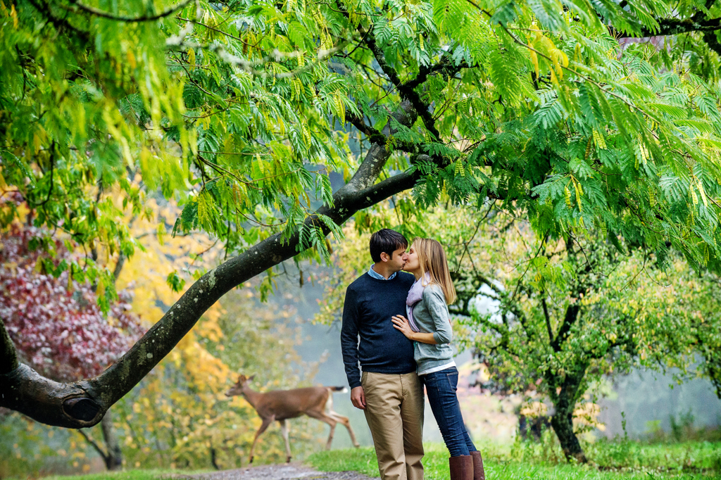 a deer walks in the background as a couple kiss under a mimosa tree