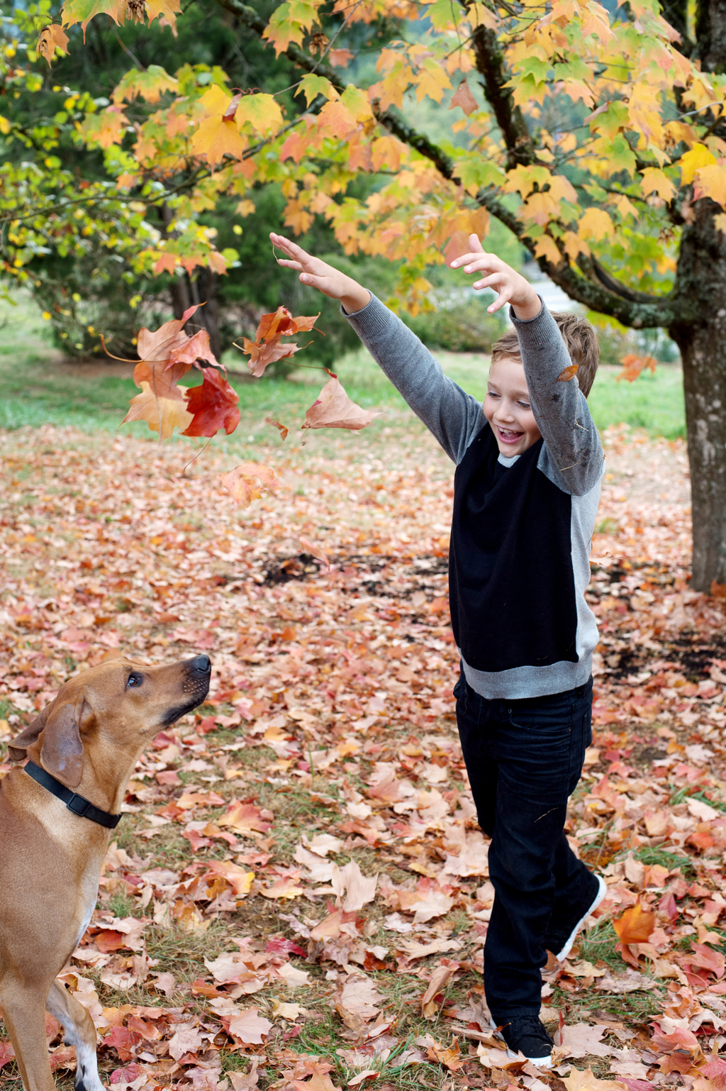 a young boy excitedly throws up fallen leaves in the air while his dog watches