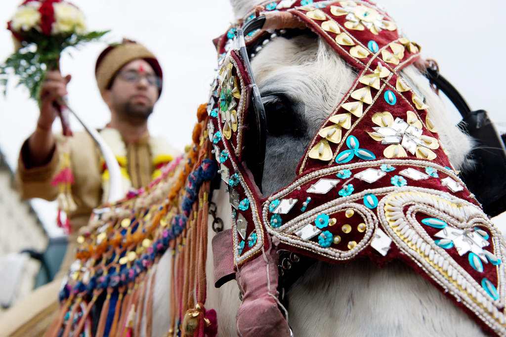 an indian groom rides an adorned horse during the baraat