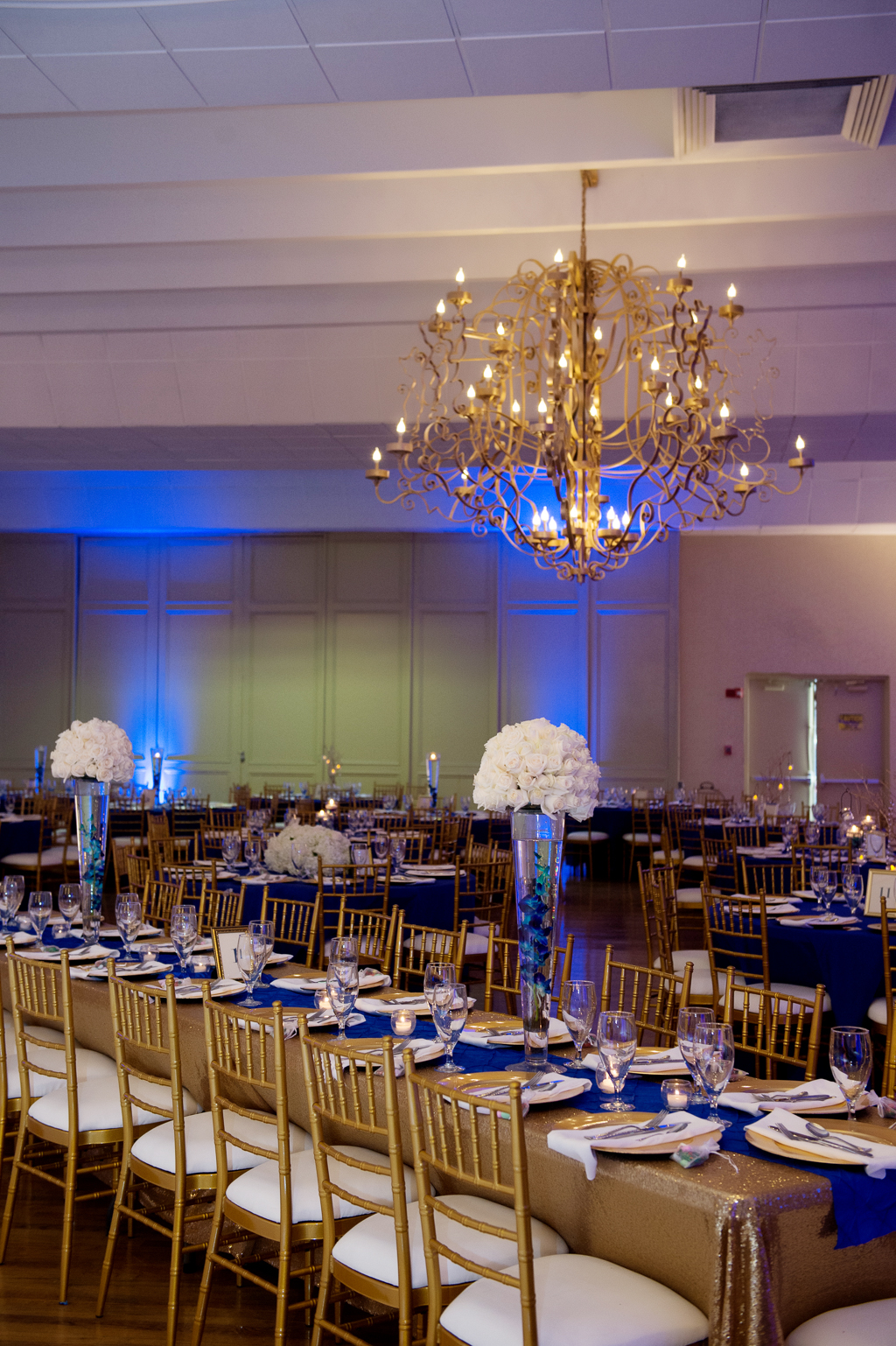 blue uplighting, gold chairs, and white and blue flowers fill a wedding reception