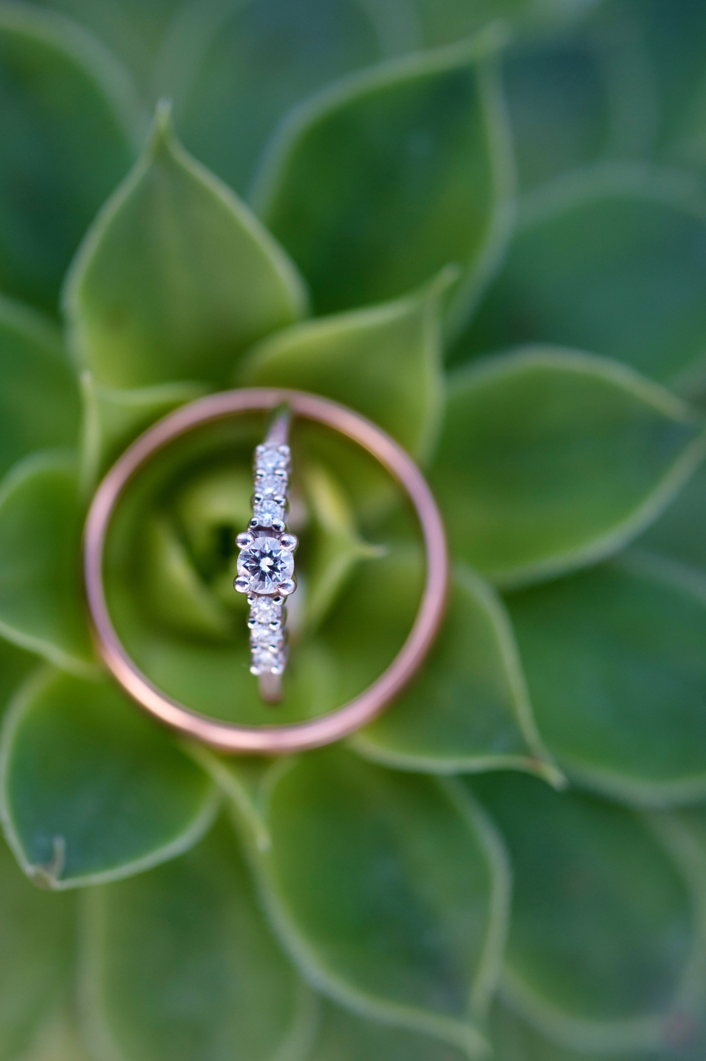 a wedding ring sits in a green succulent
