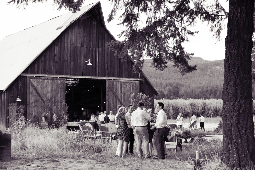 wedding guests mingle outside of the tin roof barn