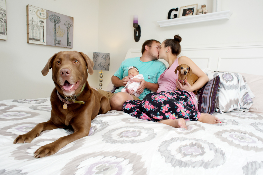 a couple sits on a bed with their newborn baby girl and 2 dogs