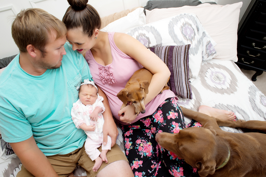 a new mom and dad look at each other while holding their newborn baby girl as their 2 dogs look at the baby