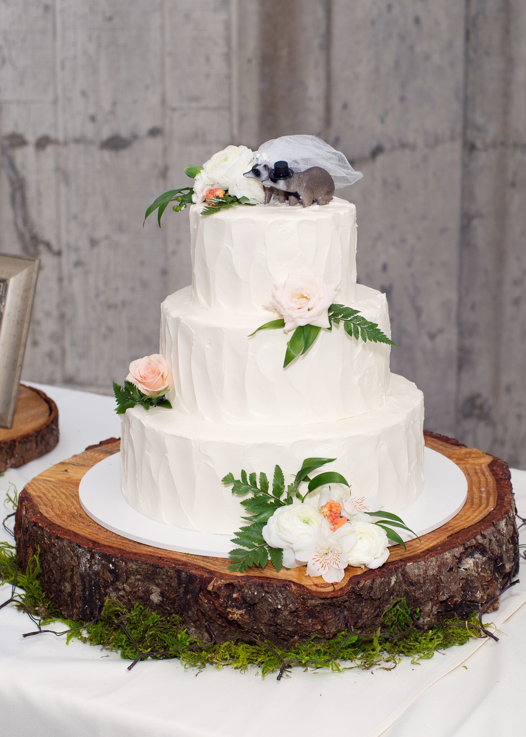 two raccoons dressed like the bride and groom sit on top of a 3 tier white wedding cake