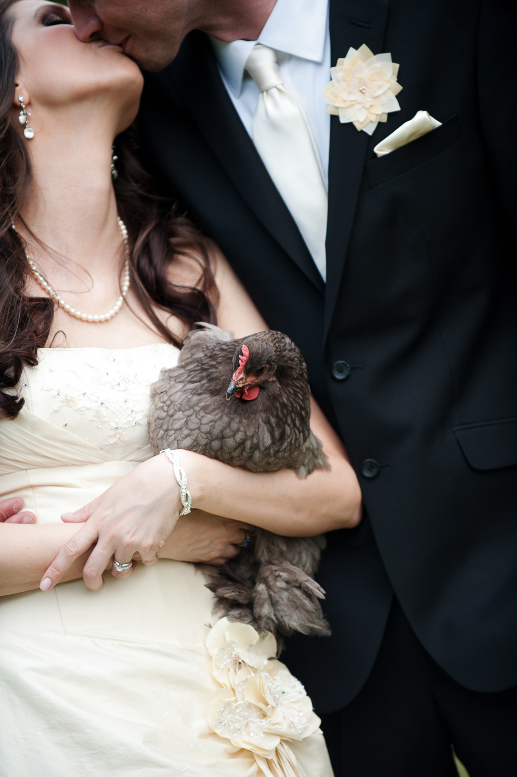 a bride holds a chicken while kissing her groom