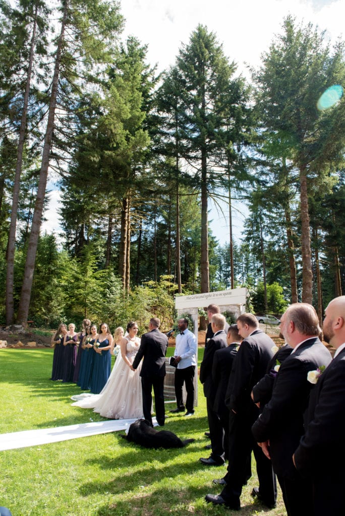 a backyard wedding in brush prairie underneath very tall trees
