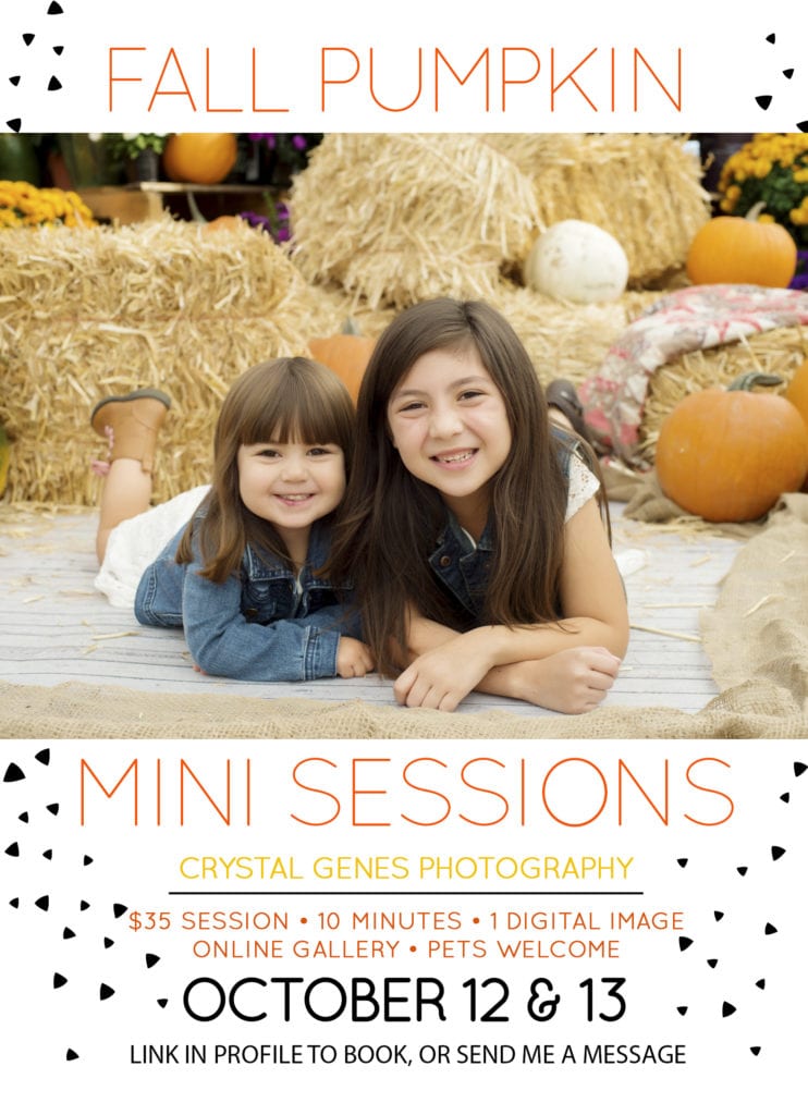 Two young girls pose, surrounded by pumpkins and hay bales, for fall photos at Al's Garden Center.