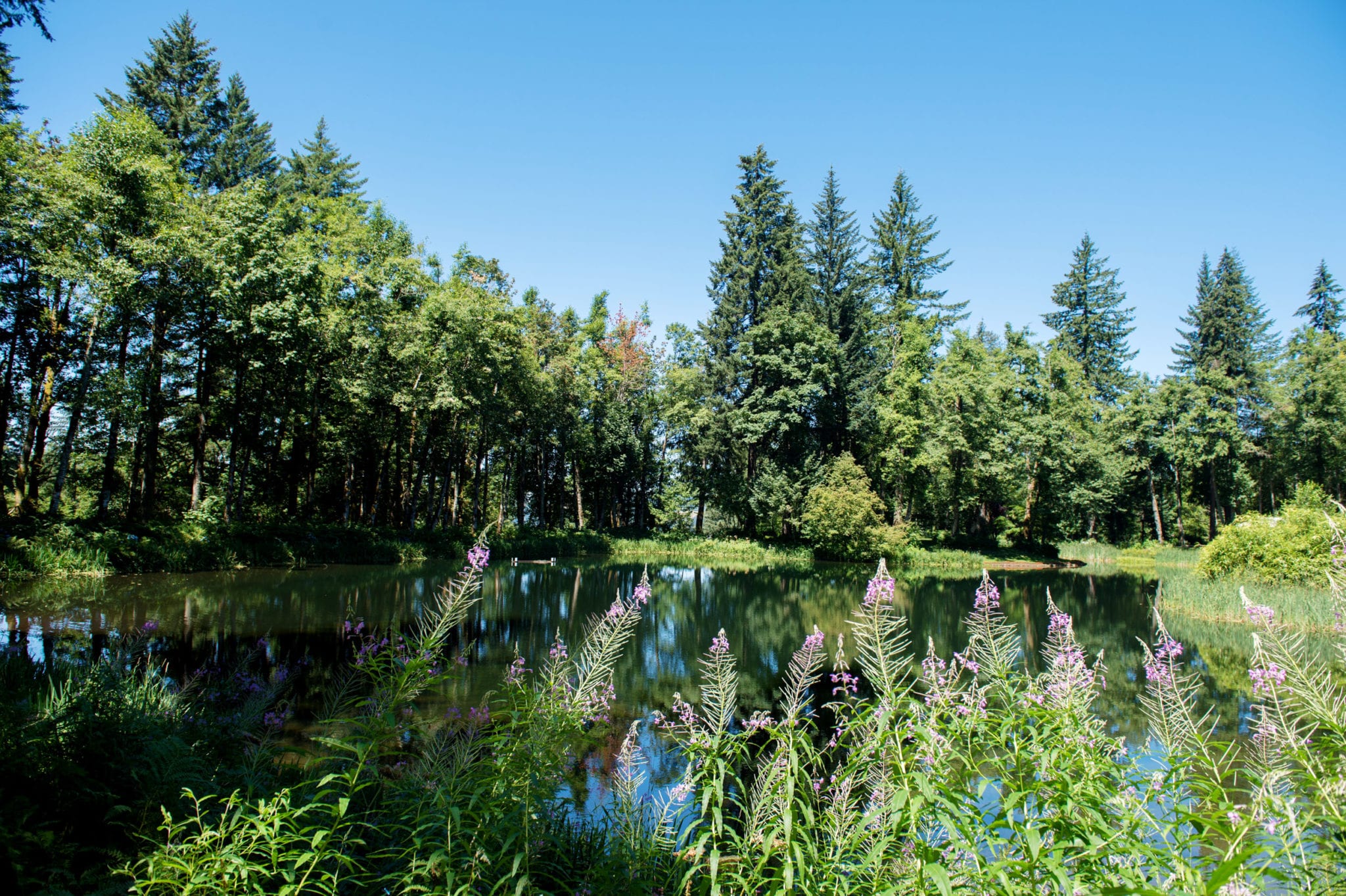 Bridal Veil Lakes Wedding Crystal Genes Photography Best pdx Wedding